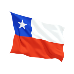 Знаме на Чили Знаме на Чили