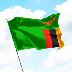 Знаме на Замбия