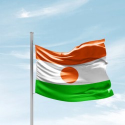 Знаме на Нигер