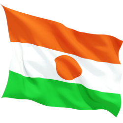 Знаме на Нигер