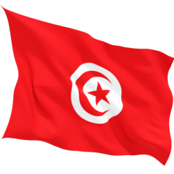 Знаме на Тунис