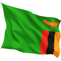 Знаме на Замбия