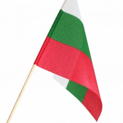 Знаме на България 15/21 см. с дървена клечка - 110 гр./м2