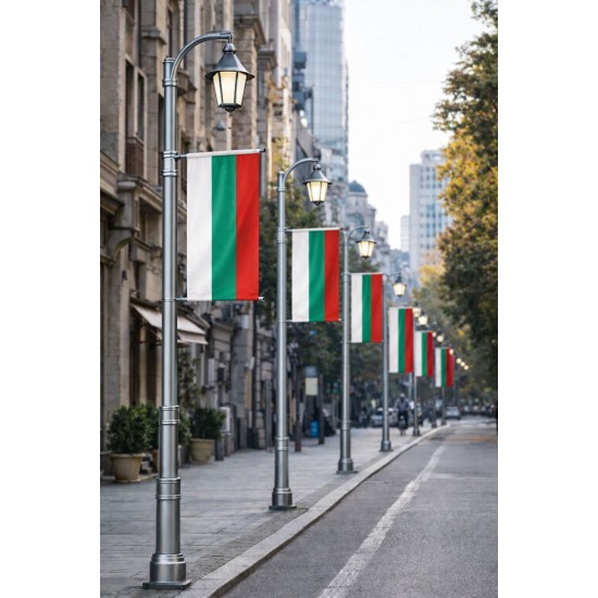 Стойка за фасадно знаме за уличен стълб