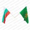 Знамена на България и Свобода или смърт 30/50 см. с дръжки