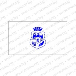 Знаме на Община Видин