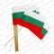 Хартиено знаме на България с дървена клечка