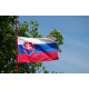 Знаме на Словакия Знаме на Словакия