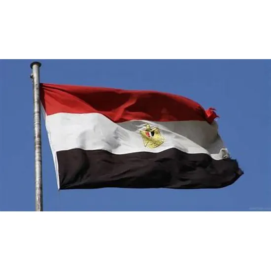 Знаме на Египет