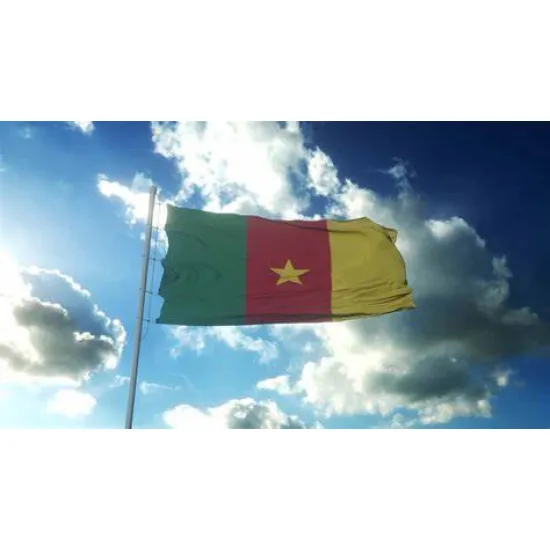 Знаме на Камерун