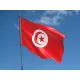 Знаме на Тунис
