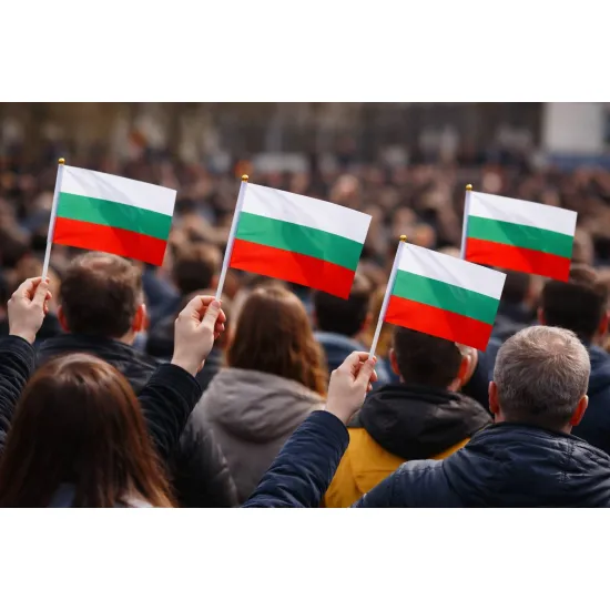 Знаме на България 14/21 см. с пластмасова дръжка - 60 гр./м2