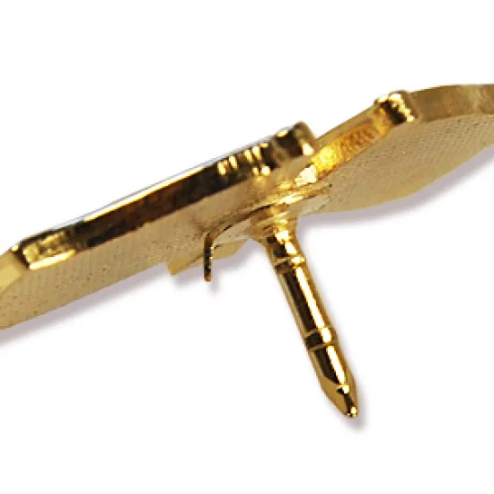 Значка с кръстосани знамена ЕС и България