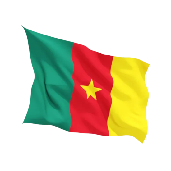 Знаме на Камерун
