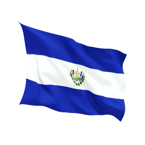 Знаме на Салвадор