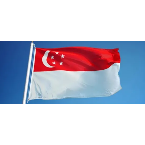 Знаме на Сингапур