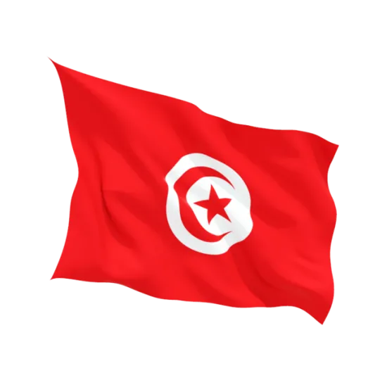 Знаме на Тунис