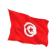 Знаме на Тунис