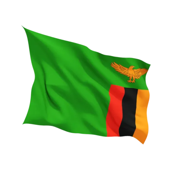 Знаме на Замбия