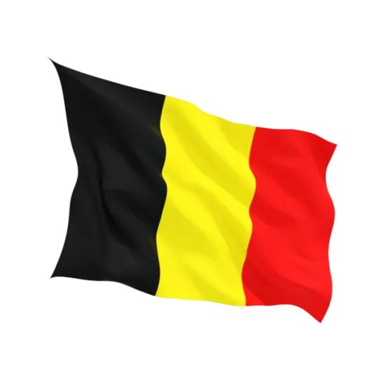 Знаме на Белгия 