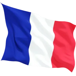 Знаме на Франция 